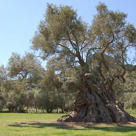 فندق مبيت وإفطار Sardegna Meravigliosa Villamassargia